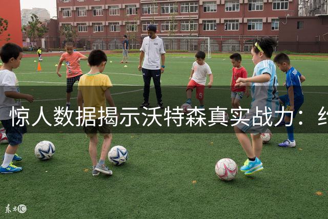 惊人数据揭示沃特森真实战力：约基奇休息时他竟能打出全明星表现