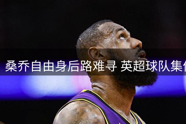 桑乔自由身后路难寻 英超球队集体降温
