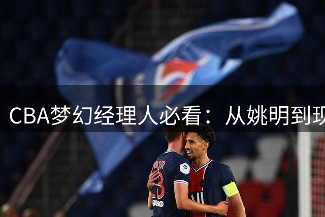 CBA梦幻经理人必看：从姚明到现役球员的建队攻略大揭秘
